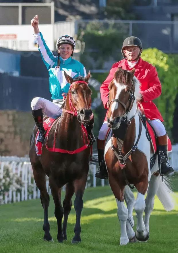 香港马王浪漫勇士或远征沙特杯迪拜世界杯