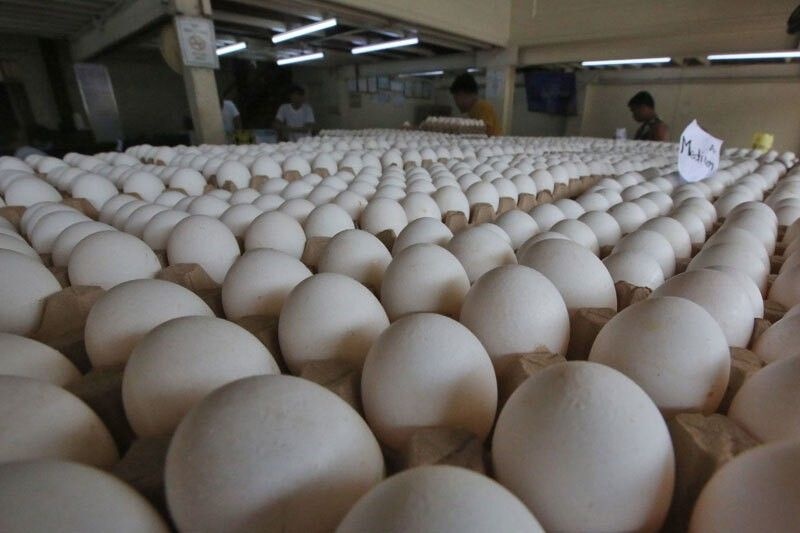 厄尔尼诺现象严重影响菲律宾鸡蛋生产