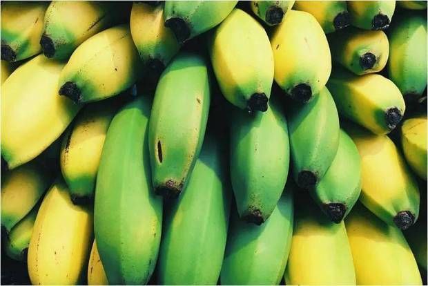 柬埔寨香蕉对华出口同比增长